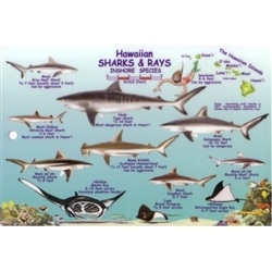 Hawaiian Sharks and Rays Offshore and Inshore Species by Frankos Maps Ltd.