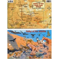 Las Vegas Family Adventure Guide Card – Franko Maps